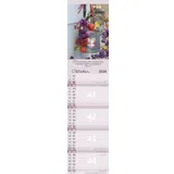 Stimmungsbild zu Von Mir zu Dir 2026 - Terminkalender