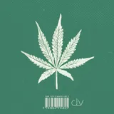 Stimmungsbild zu Weed, Ott und Gott