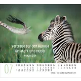 Stimmungsbild zu Begegnungen 2026 - Minikalender