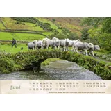 Stimmungsbild zu Der gute Hirte 2026 - Postkartenkalender