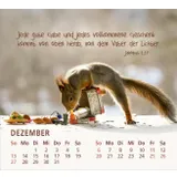 Stimmungsbild zu Du bist meine Freude 2026 - Tischkalender