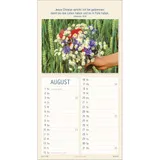 Stimmungsbild zu Meine Zeit in seinen Händen 2026