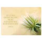 Stimmungsbild zu Postkartenbox "Getragen und getröstet"