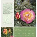 Stimmungsbild zu Rosenduft mit besten Wünschen 2026 - Aufstellkalender
