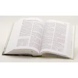 Stimmungsbild zu Neues Leben. Die Bibel für Teens