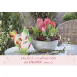 Stimmungsbild zu Neujahrslose "Garten"