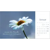 Stimmungsbild zu Augenblicke der Anbetung 2026 - Postkartenkalender