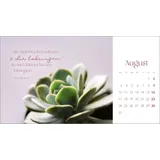 Stimmungsbild zu Augenblicke der Anbetung 2026 - Postkartenkalender