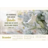 Stimmungsbild zu Herzliche Worte für Dich 2026 - Postkartenkalender