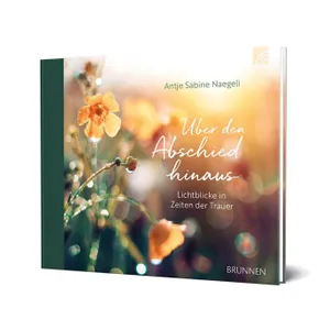 Produktbild des Artikels Über den Abschied hinaus (Buch - Gebunden)