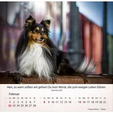 Stimmungsbild zu Hunde 2026 - Tischkalender