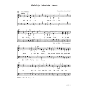 Produktbild des Artikels Halleluja! Lobet den Herrn (Noten - Download)