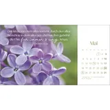 Stimmungsbild zu Augenblicke der Anbetung 2026 - Postkartenkalender