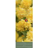 Stimmungsbild zu Impressionen lebendiger Worte 2026 - Wandkalender