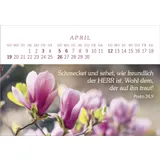 Stimmungsbild zu Das Geschenk der Freude 2026