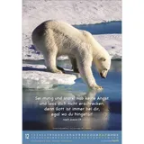 Stimmungsbild zu Meine kleine Welt 2026 - Wandkalender