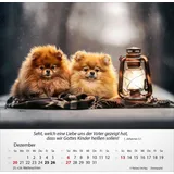 Stimmungsbild zu Hunde 2026 - Tischkalender
