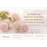 Stimmungsbild zu Herzliche Worte für Dich 2026 - Postkartenkalender