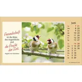 Stimmungsbild zu Der kleine Begleiter 2026 - Aufstellkalender