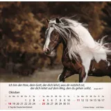 Stimmungsbild zu Pferde 2026 - Tischkalender