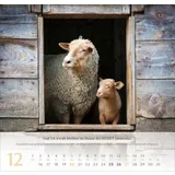 Stimmungsbild zu Psalm 23 - Wandkalender 2026