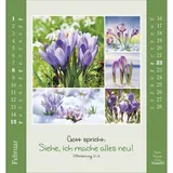 Stimmungsbild zu Kleine Freuden 2026 - Aufstellkalender