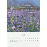 Stimmungsbild zu Zarte Blumengrüße 2026 - Tischkalender