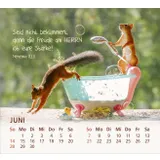 Stimmungsbild zu Du bist meine Freude 2026 - Tischkalender