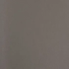 Produktbild des Artikels Bibelhülle Appleskin Basis XL - steingrau ()