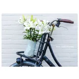 Stimmungsbild zu feste feiern – Postkartenbuch