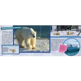 Stimmungsbild zu Das Klima im Wandel