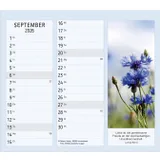 Stimmungsbild zu Vormerk-Kalender 2026 mit Sinnsprüchen