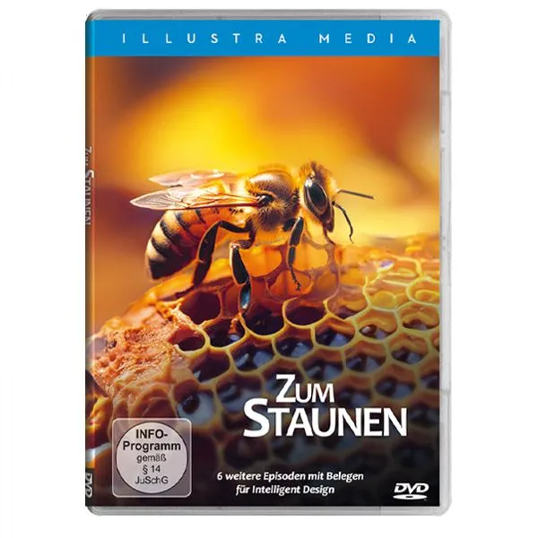 Produktbild des Artikels Zum Staunen (Video - DVD)