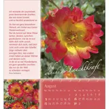 Stimmungsbild zu Rosenduft mit besten Wünschen 2026 - Aufstellkalender