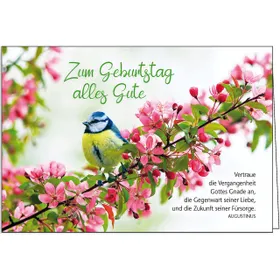 Produktbild des Artikels Faltkarte: Zum Geburtstag alles Gute (Schreibwaren)