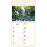 Stimmungsbild zu Meine Zeit in seinen Händen 2026