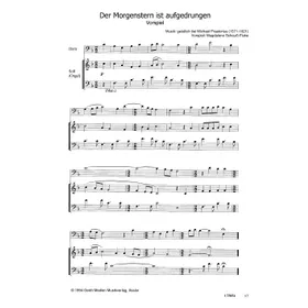 Produktbild des Artikels Der Morgenstern ist aufgedrungen (Noten - Download)