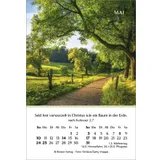 Stimmungsbild zu Ein Jahr der Hoffnung 2026 - Minikalender