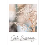 Stimmungsbild zu Unendlich geliebt - Postkartenset