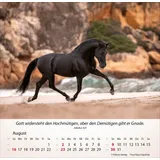 Stimmungsbild zu Pferde 2026 - Tischkalender