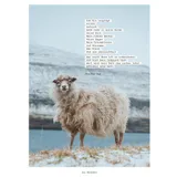 Stimmungsbild zu Leuchttage - Dein Begleiter durch den Advent