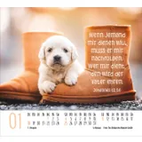 Stimmungsbild zu Hunde 2026 - Minikalender