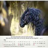 Stimmungsbild zu Pferde 2026 - Tischkalender