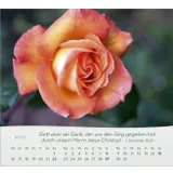 Stimmungsbild zu Rosen 2026 - Tischkalender