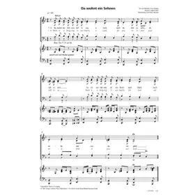 Produktbild des Artikels Da wohnt ein Sehnen tief in uns (Noten - Download)