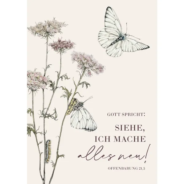 Produktbild des Artikels Jahreslosung 2026 – Download-Poster A4 (PDF - Download)