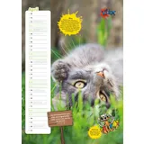 Stimmungsbild zu Der ultracoole KLÄX-Kalender 2026