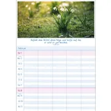 Stimmungsbild zu Multiplaner 2026