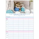 Stimmungsbild zu Multiplaner 2026