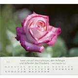 Stimmungsbild zu Rosen 2026 - Tischkalender